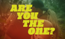 ARE YOU THE ONE?